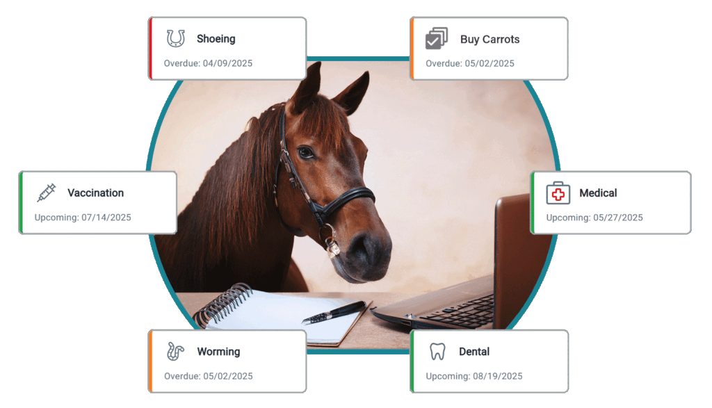 Task-Management